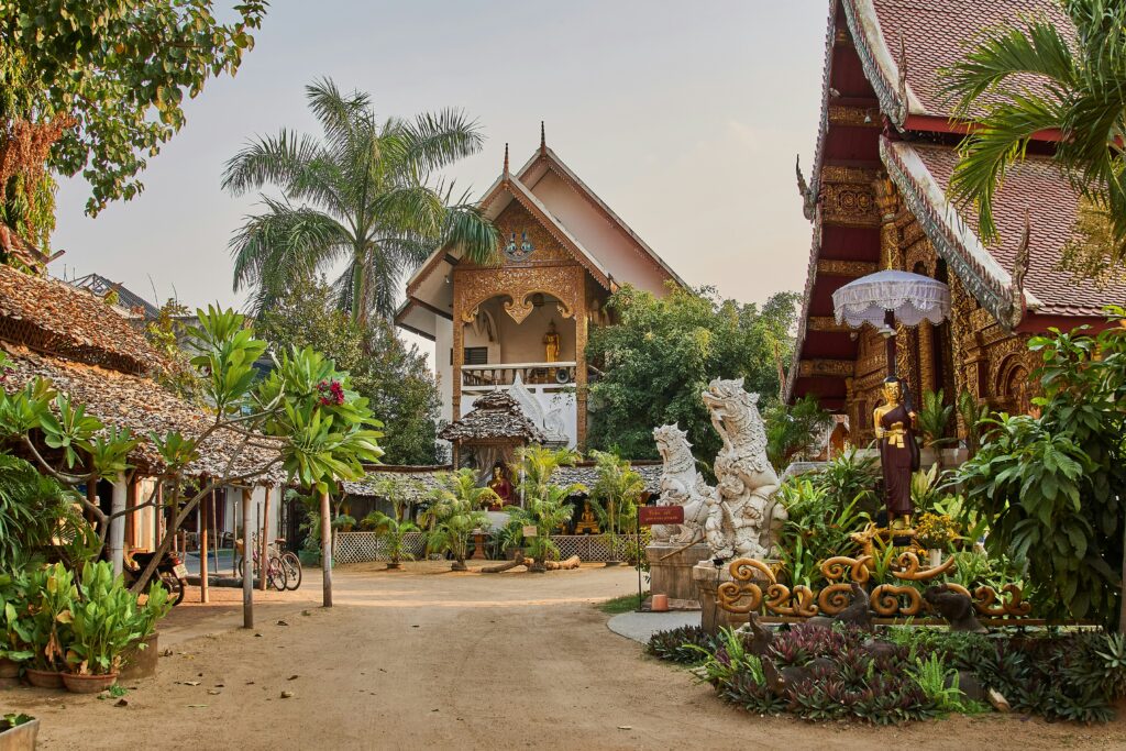 White and brown concrete buildings surrounded by greenery in Chiang Mai, Thailand